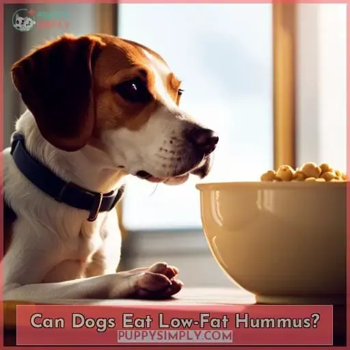 Can Dogs Eat Low-Fat Hummus