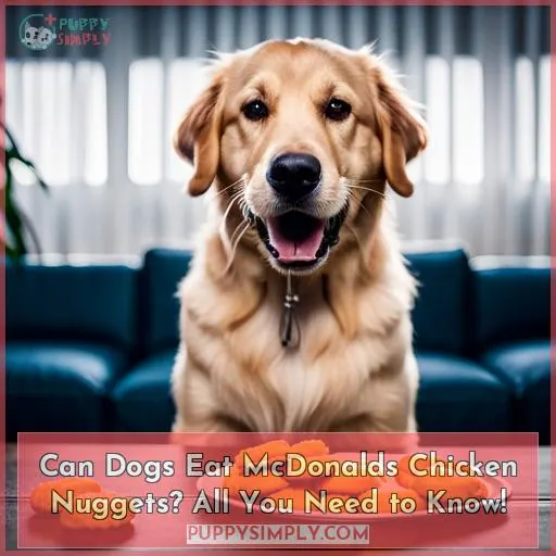 can dogs eat mcdonalds chicken nuggets