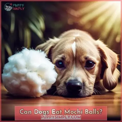 Can Dogs Eat Mochi Balls