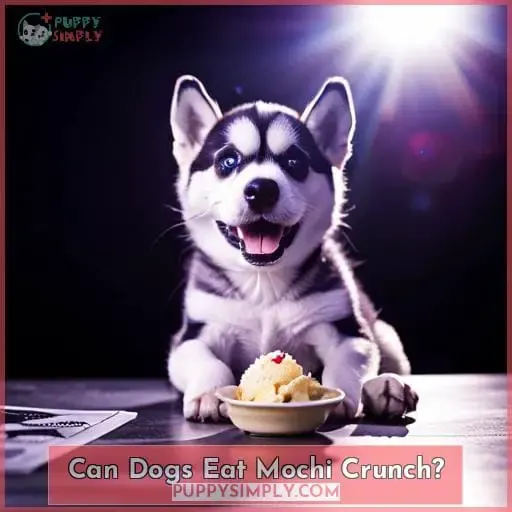 Can Dogs Eat Mochi Crunch
