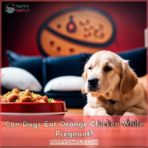 Can Dogs Eat Orange Chicken While Pregnant