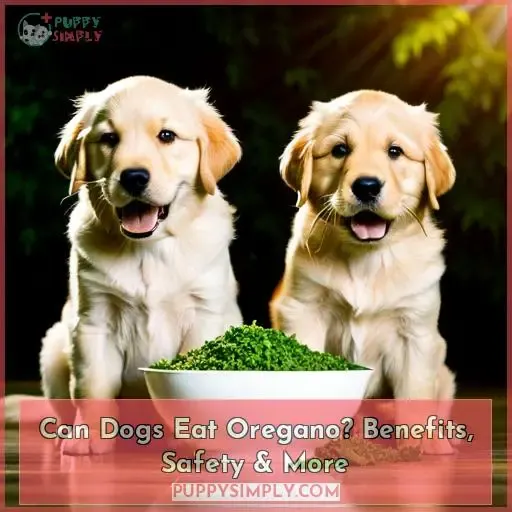 can dogs eat oregano