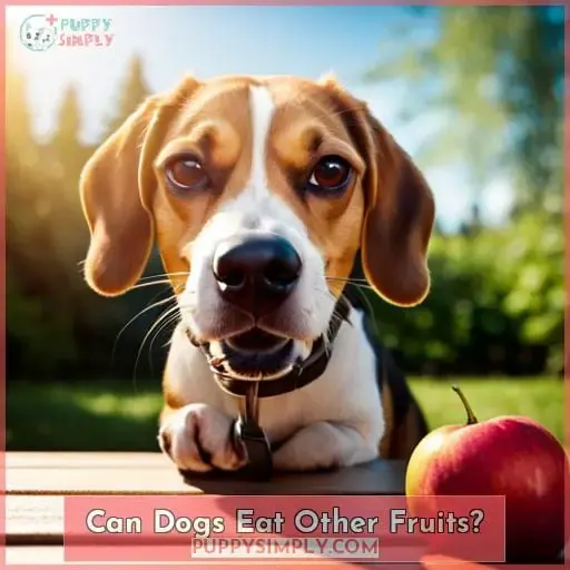 Can Dogs Eat Other Fruits