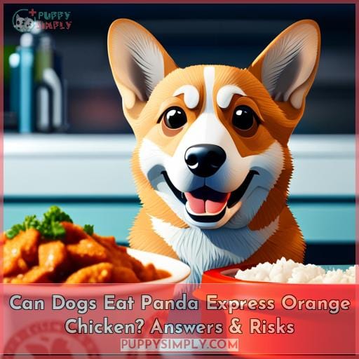can dogs eat panda express orange chicken
