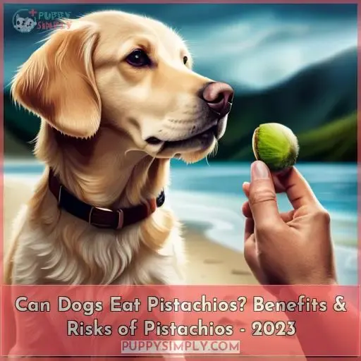 can dogs eat pistachio