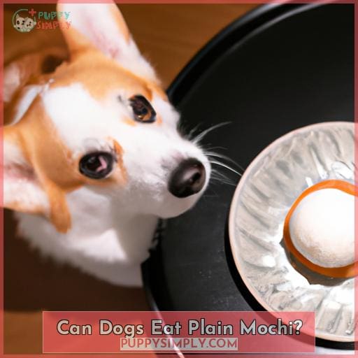 Can Dogs Eat Plain Mochi