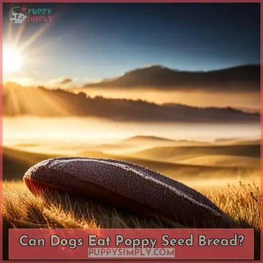 Can Dogs Eat Poppy Seed Bread