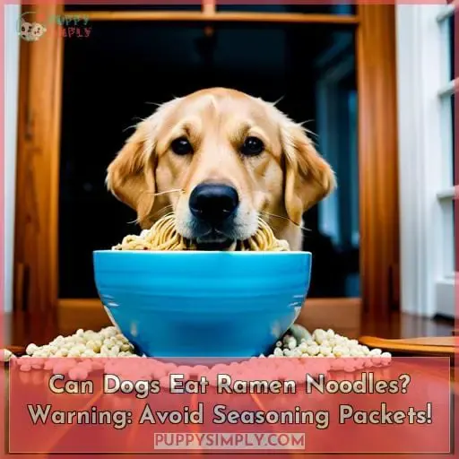 can dogs eat ramen noodles without seasoning