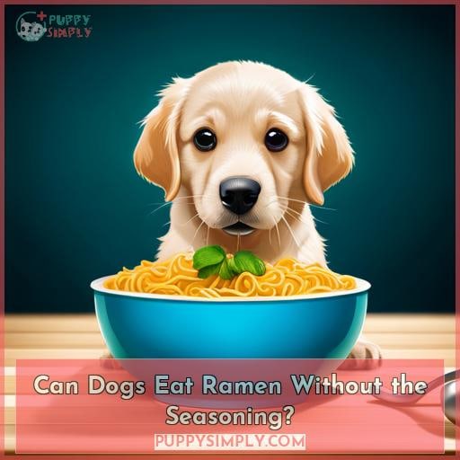 Can Dogs Eat Ramen Without the Seasoning