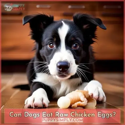 Can Dogs Eat Raw Chicken Legs? Safety Tips & Bones to Avoid