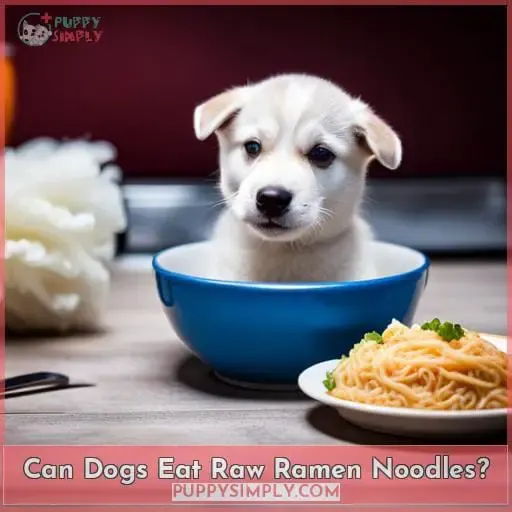 Can Dogs Eat Raw Ramen Noodles