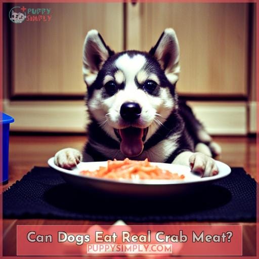 Can Dogs Eat Real Crab Meat