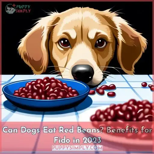 Can Dogs Eat Red Beans and Rice