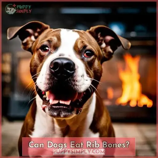 Can Dogs Eat Rib Bones