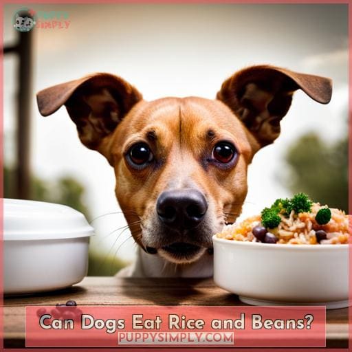Can Dogs Eat Rice and Beans