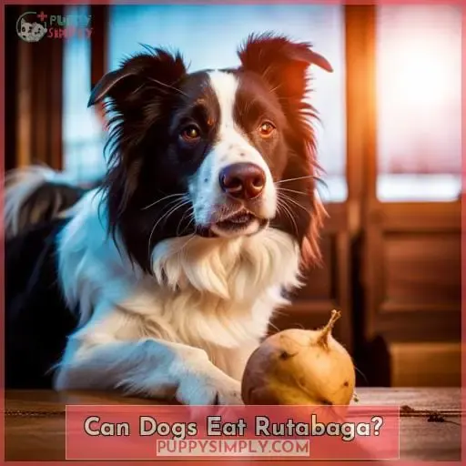 can dogs eat rutabaga