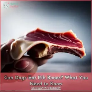 can dogs eat short rib bones