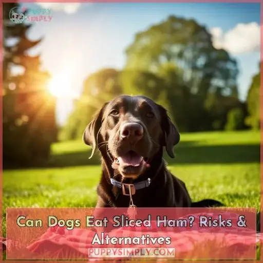 Can Dogs Eat Sliced Ham Risks Alternatives