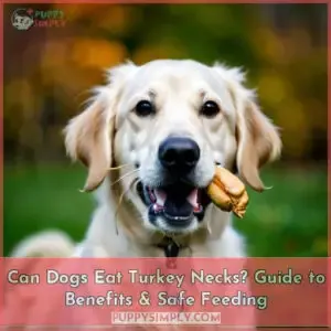 can dogs eat smoked turkey necks