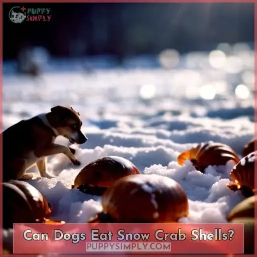 Can Dogs Eat Snow Crab Shells