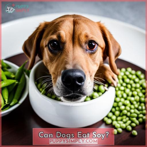 Can Dogs Eat Soy
