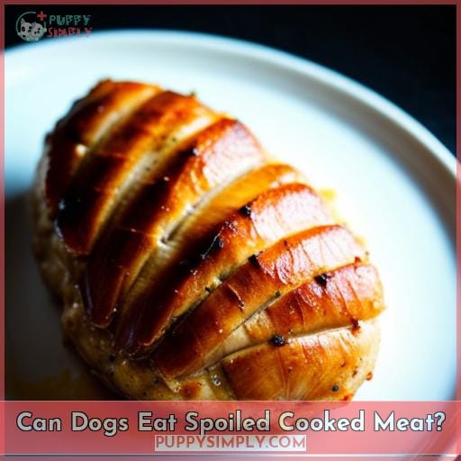 Can Dogs Eat Spoiled Cooked Meat