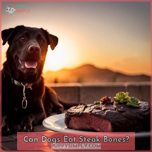 Can Dogs Eat Steak Bones
