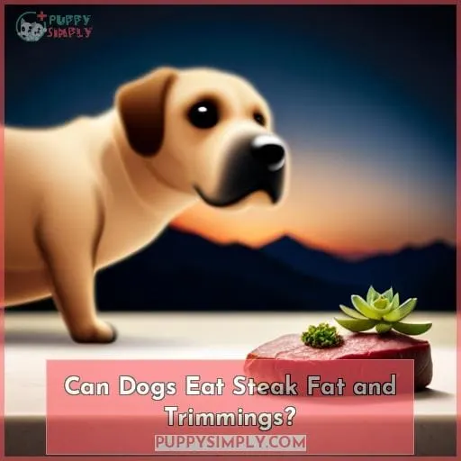 Can Dogs Eat Steak Fat and Trimmings