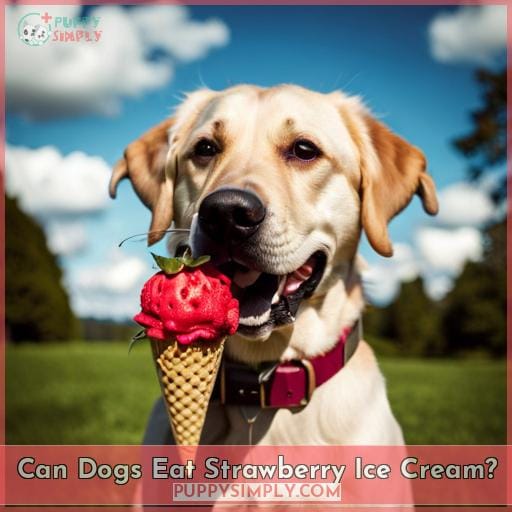 Can Dogs Eat Strawberry Ice Cream