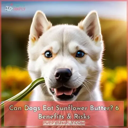 can dogs eat sunflower seed butter