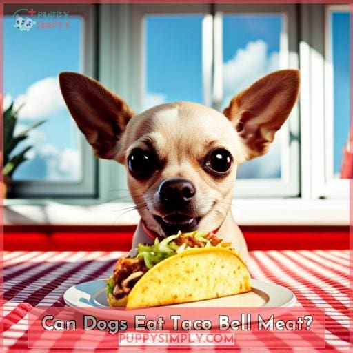 Can Dogs Eat Taco Bell Meat