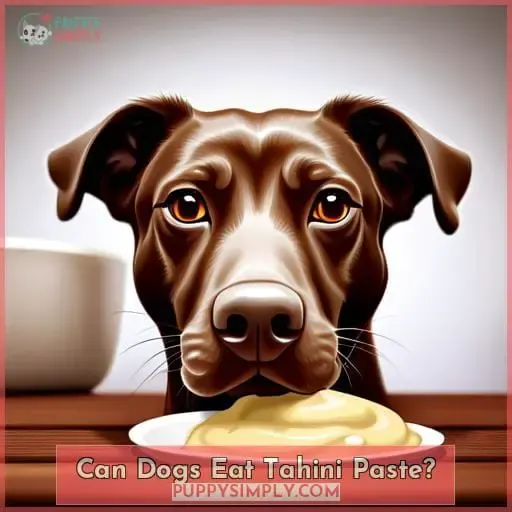 Can Dogs Eat Tahini Paste