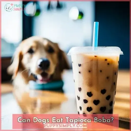 Can Dogs Eat Tapioca Boba