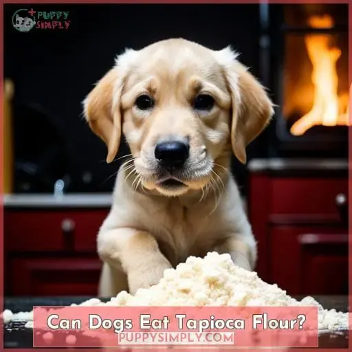 Can Dogs Eat Tapioca Flour