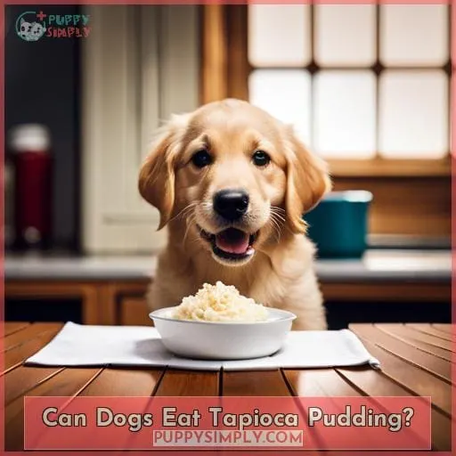 Can Dogs Eat Tapioca Pudding