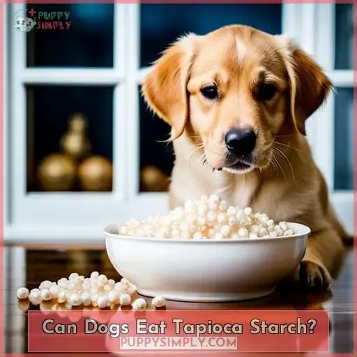 Can Dogs Eat Tapioca Starch