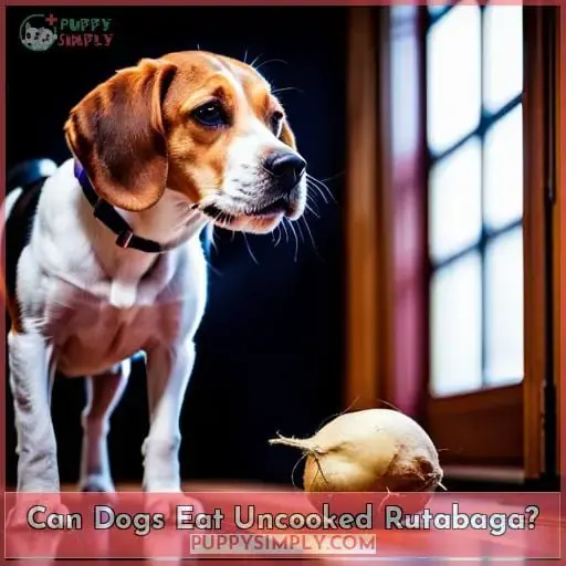 Can Dogs Eat Uncooked Rutabaga