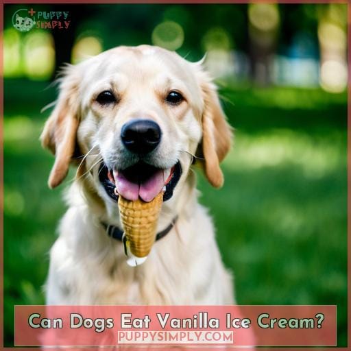 Can Dogs Eat Vanilla Ice Cream