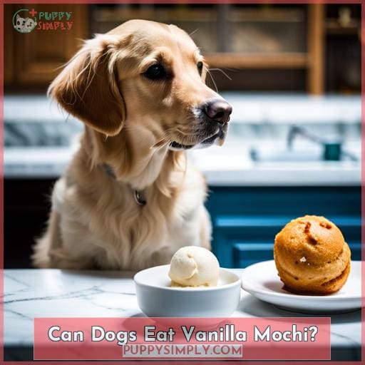 Can Dogs Eat Vanilla Mochi