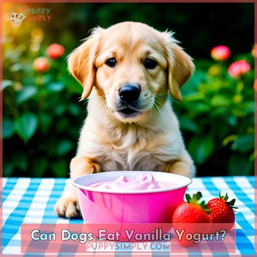 Can Dogs Eat Vanilla Yogurt