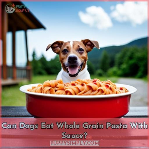 Can Dogs Eat Whole Grain Pasta With Sauce