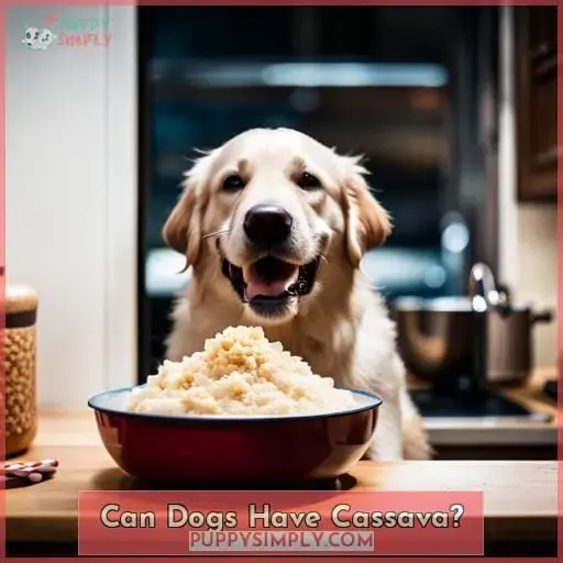 Can Dogs Have Cassava