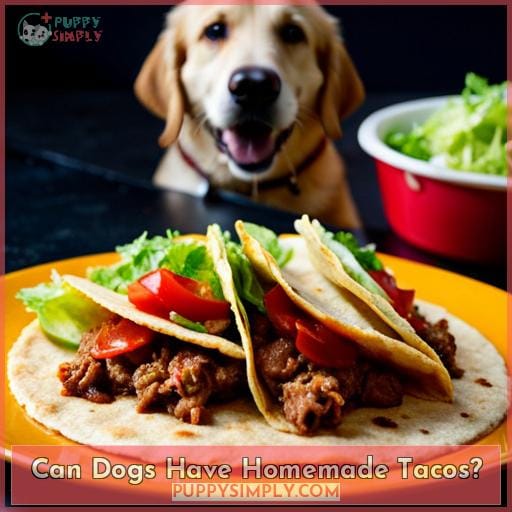Can Dogs Have Homemade Tacos