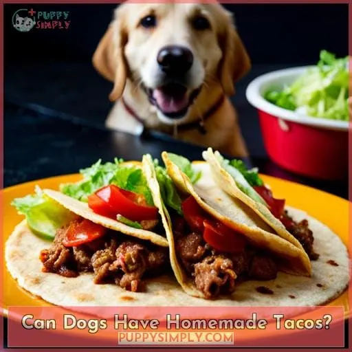 Can Dogs Have Homemade Tacos