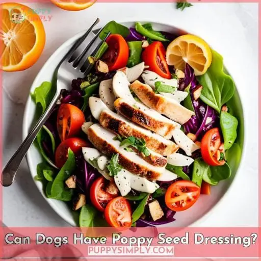 Can Dogs Have Poppy Seed Dressing