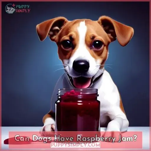 Can Dogs Have Raspberry Jam
