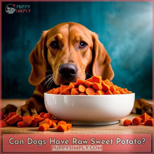 Can Dogs Have Raw Sweet Potato