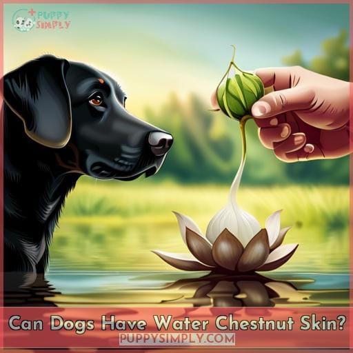 Can Dogs Have Water Chestnut Skin