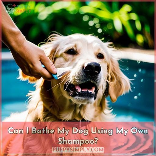 Can I Bathe My Dog Using My Own Shampoo