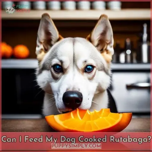 Can I Feed My Dog Cooked Rutabaga